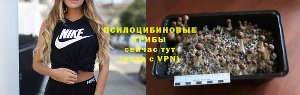 mdpv Арсеньев