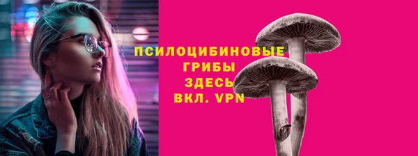 apvp Богородицк
