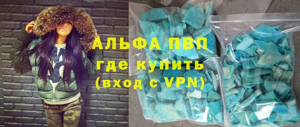 хмурый Аркадак