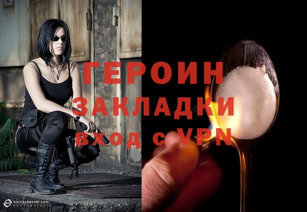 хмурый Аркадак