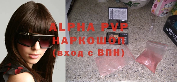 хмурый Аркадак