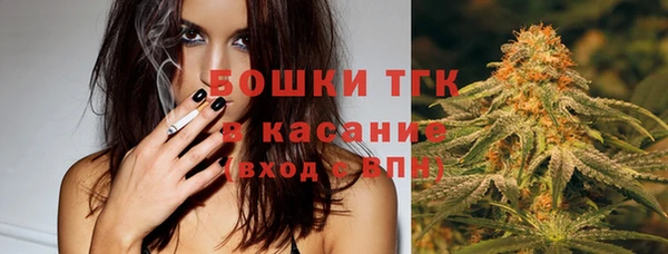 apvp Богданович
