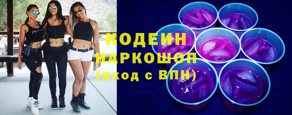 хмурый Аркадак