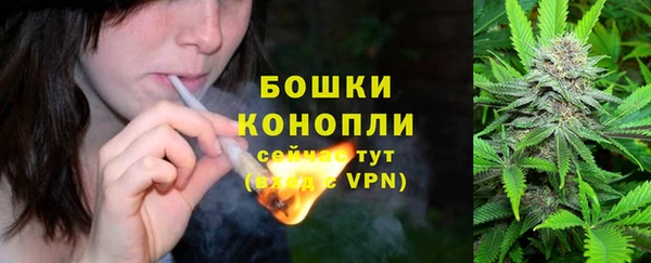 apvp Богородицк
