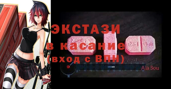 хмурый Аркадак