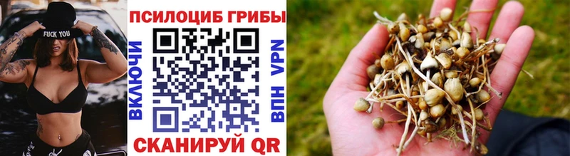 Галлюциногенные грибы MAGIC MUSHROOMS  Голицыно 